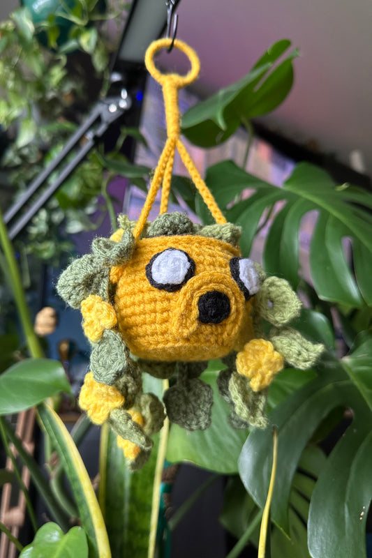 Crochet Jake Hanging Plant
