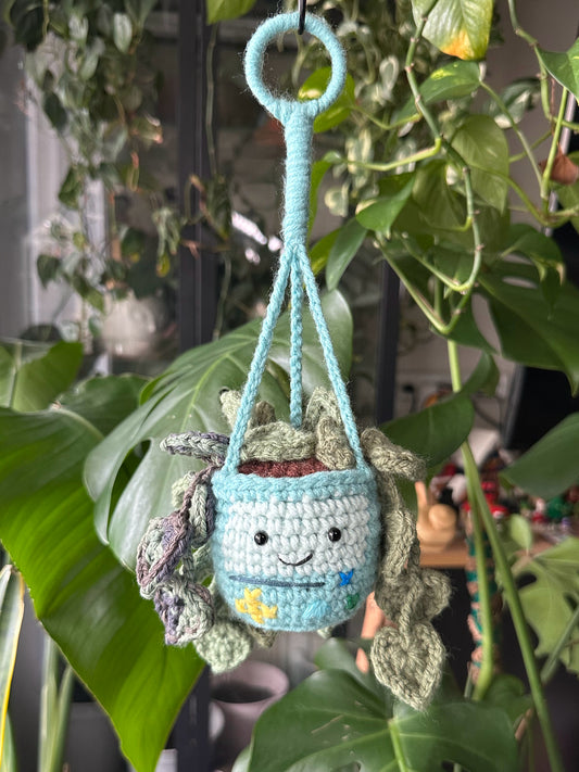 Crochet BMO Hanging Plant