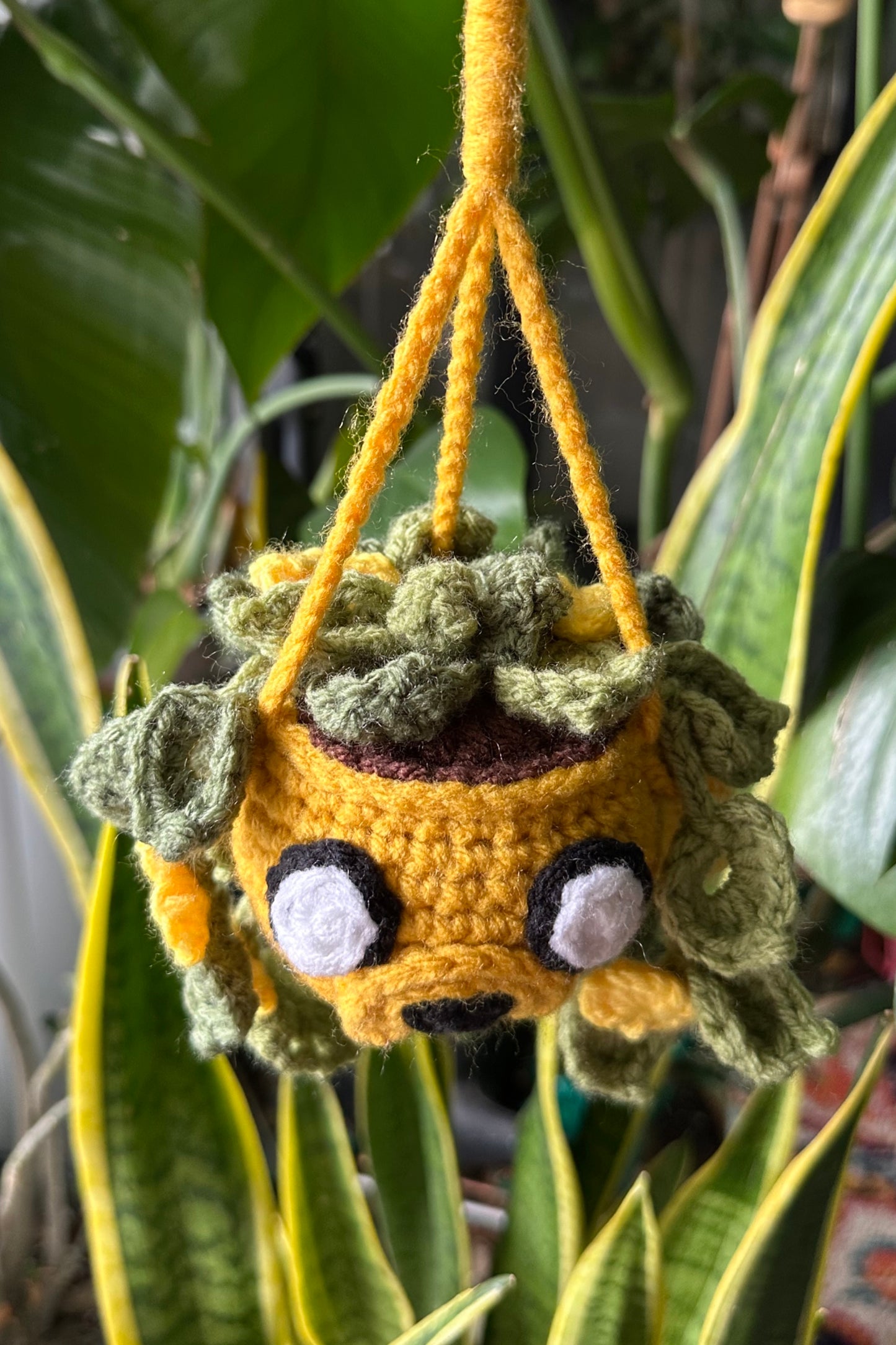 Crochet Jake Hanging Plant