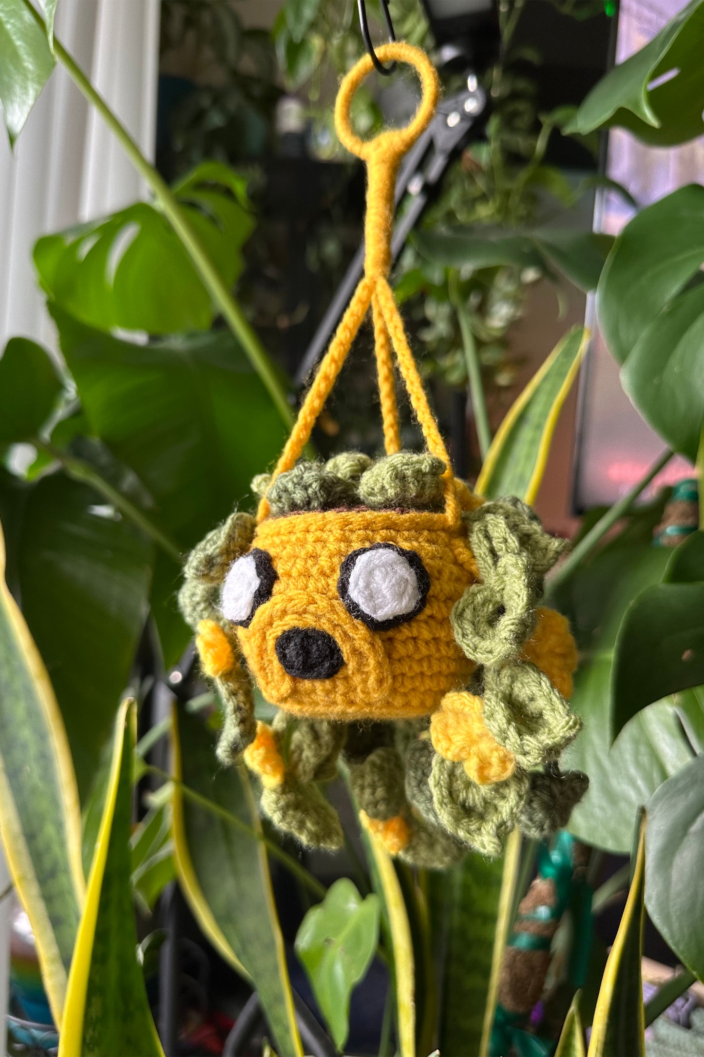 Crochet Jake Hanging Plant