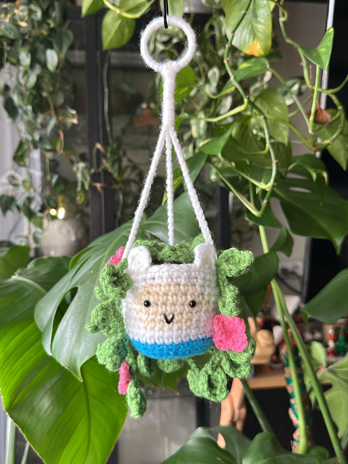Crochet Finn Hanging Plant - MADE TO ORDER