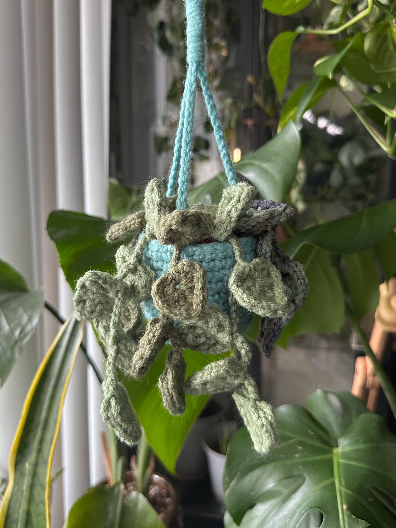 Crochet BMO Hanging Plant