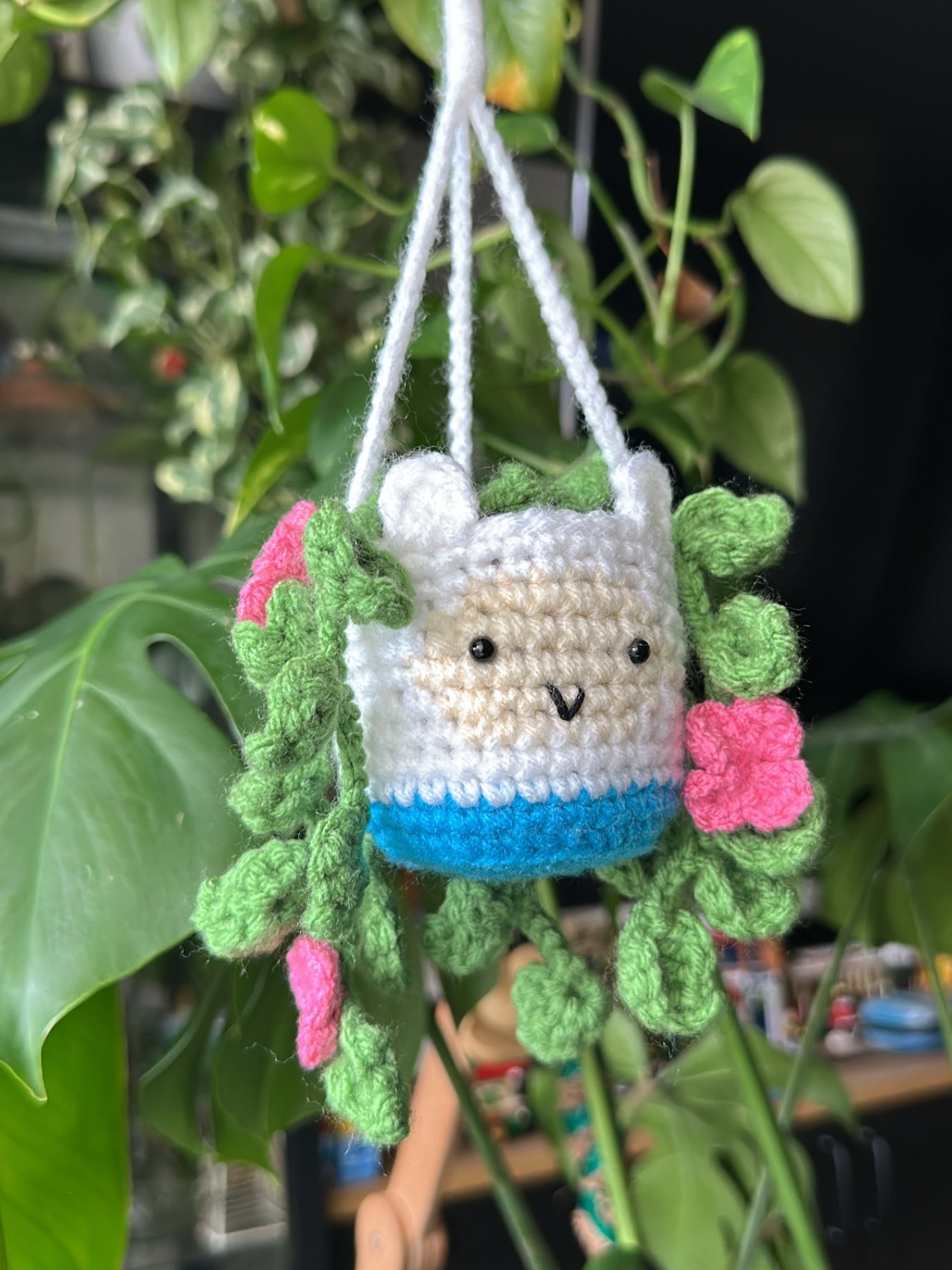 Crochet Finn Hanging Plant - MADE TO ORDER