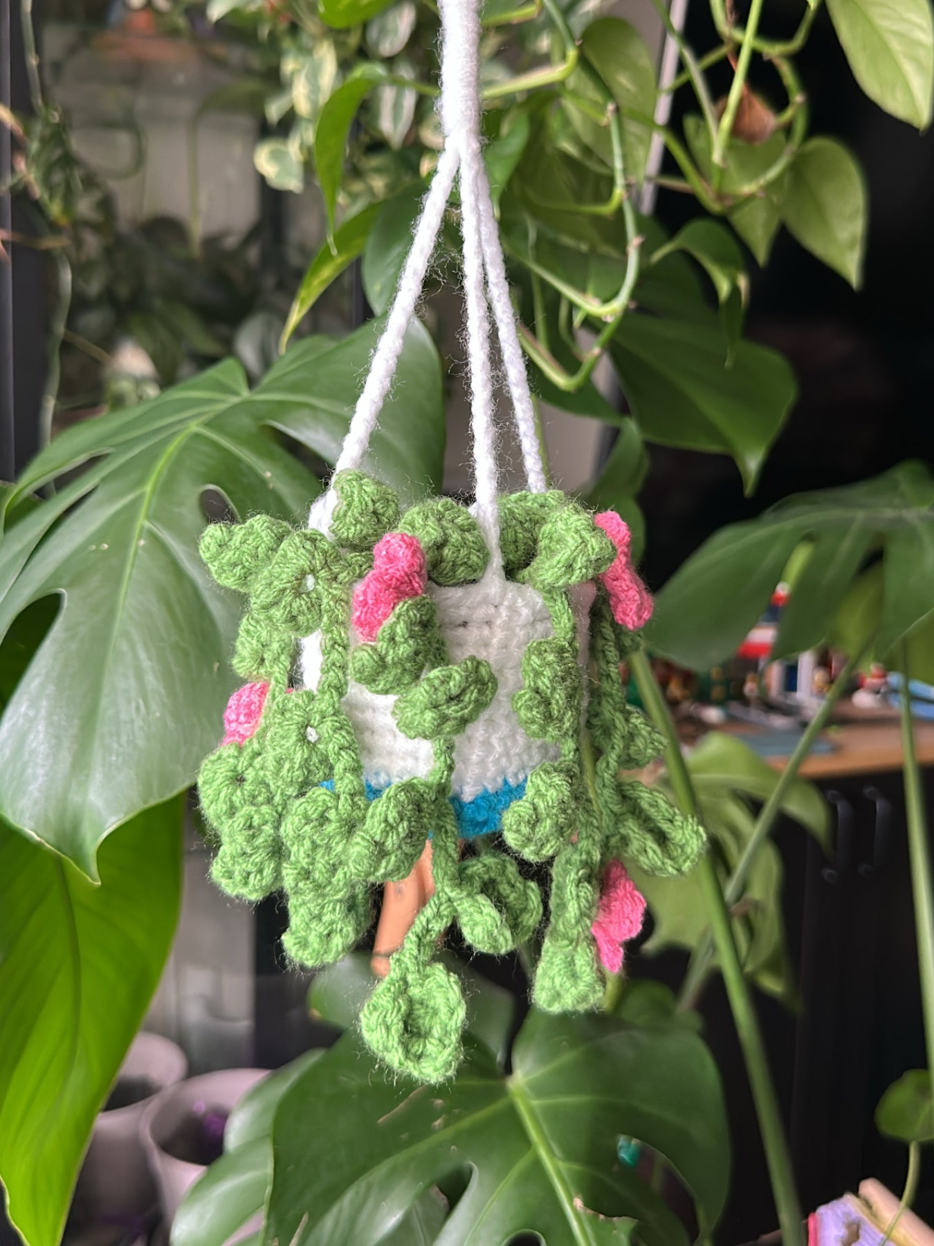 Crochet Finn Hanging Plant - MADE TO ORDER