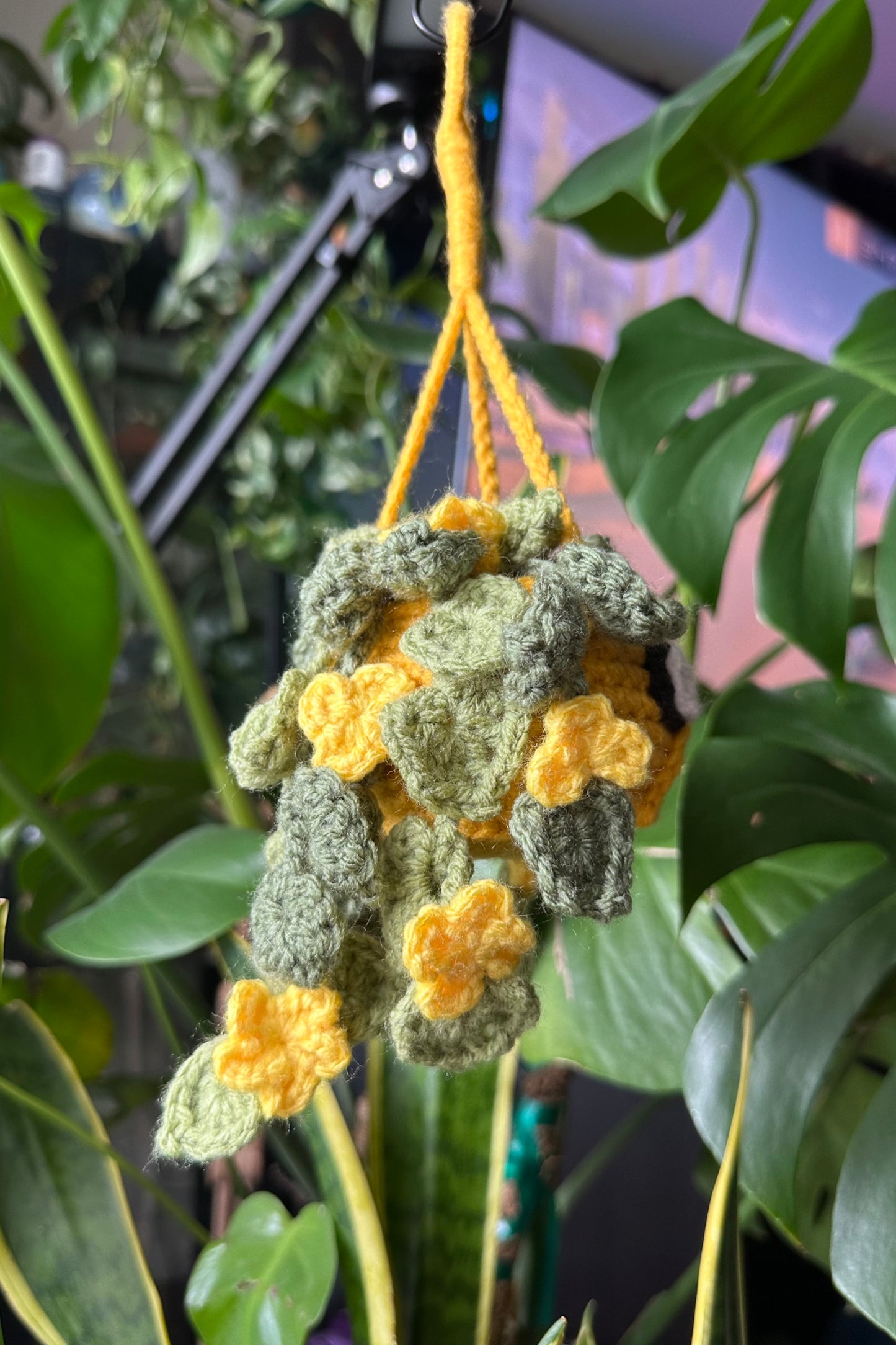 Crochet Jake Hanging Plant