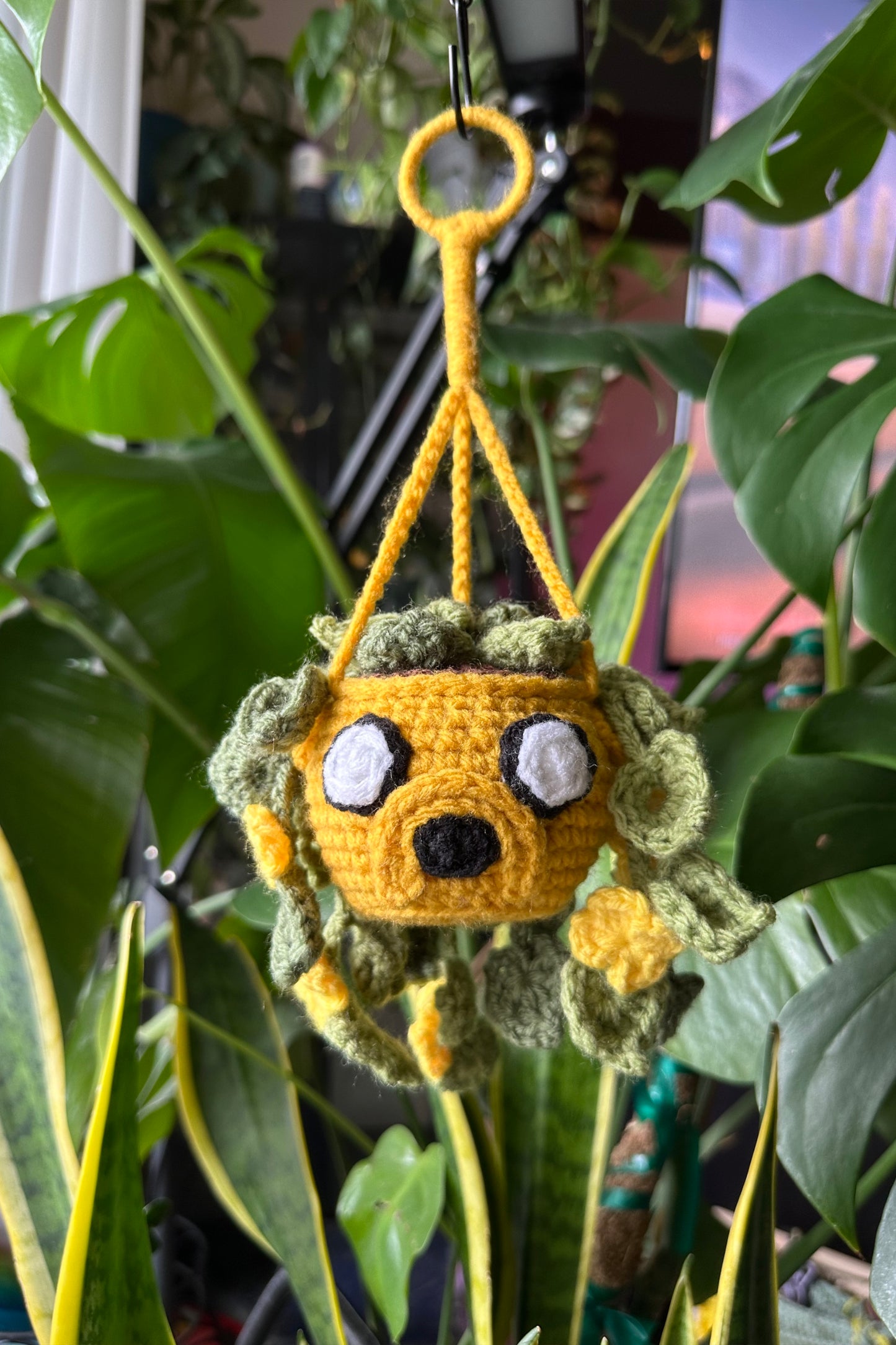 Crochet Jake Hanging Plant